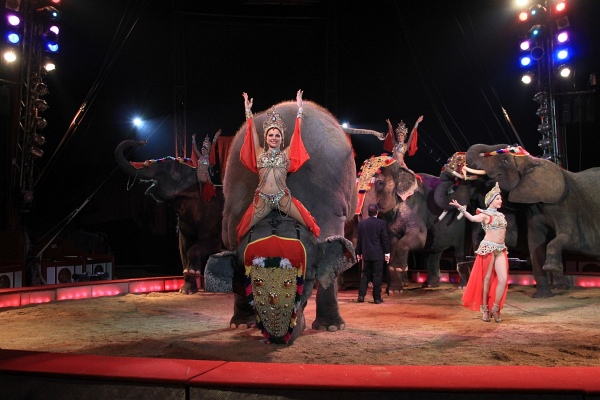 Krone2011   025.jpg